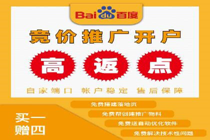 探索sem公司的策略与效果